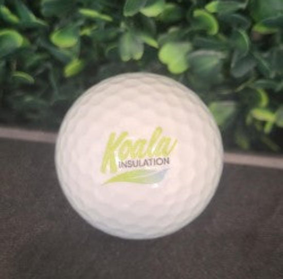 Professional Golf Balls (10 count)