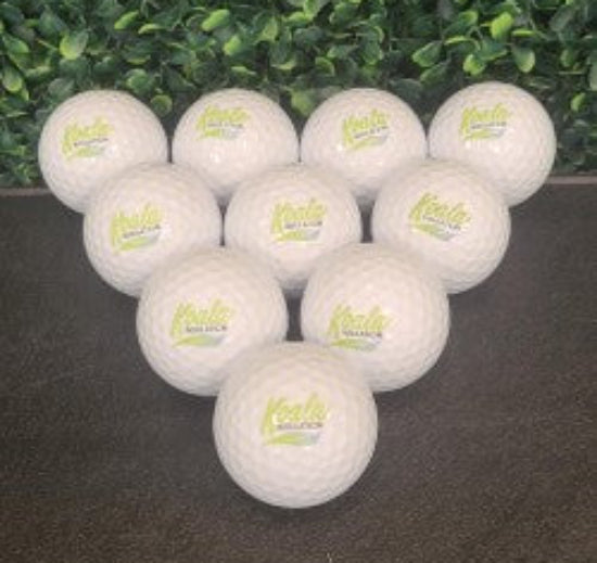 Professional Golf Balls (10 count)